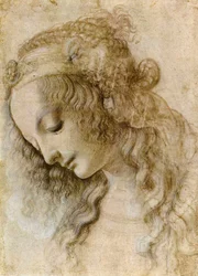 Female head in profile